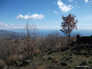 Grotta del Porcospino